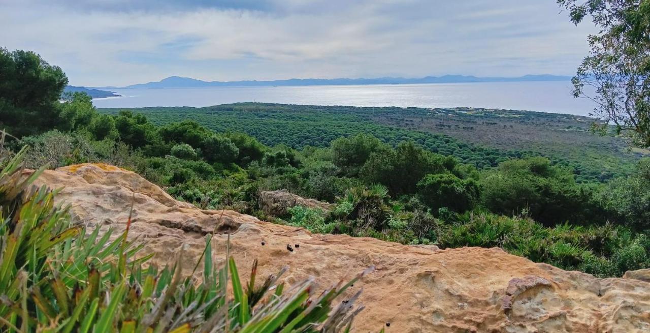 Апартаменти Exclusivo Zahara Urb Bahia De La Plata Саара-де-лос-Атунес Екстер'єр фото